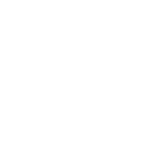 01 Vitality
